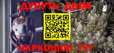 прущие грибы Славгород