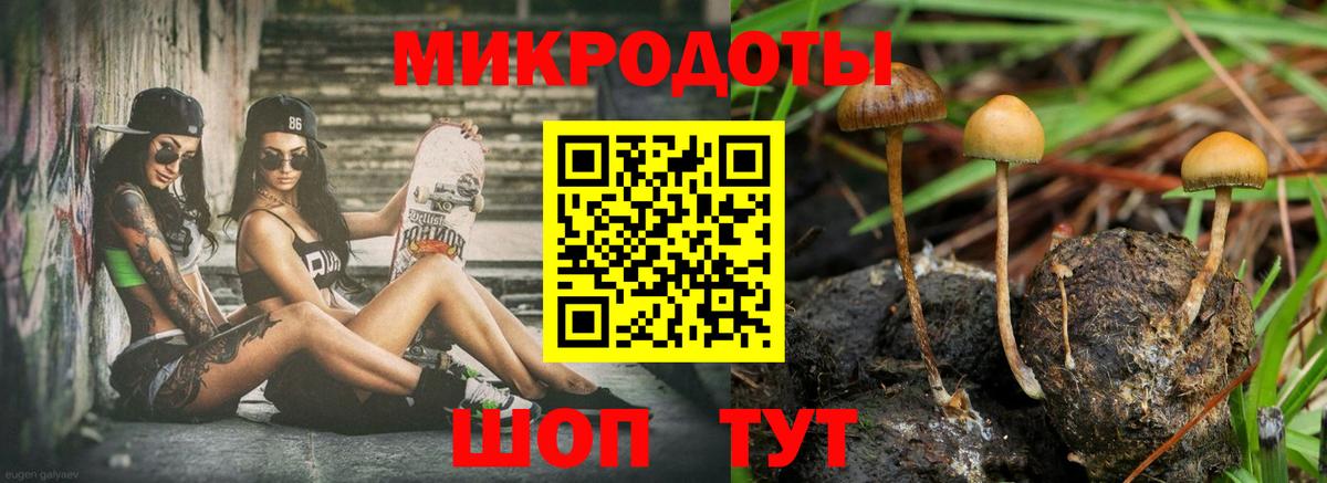 Галлюциногенные грибы прущие грибы  Вход с VPN  Азнакаево 
