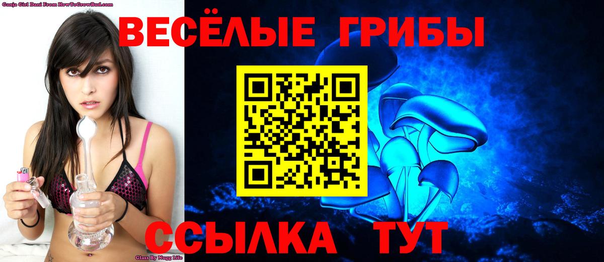 Галлюциногенные грибы ЛСД Азнакаево